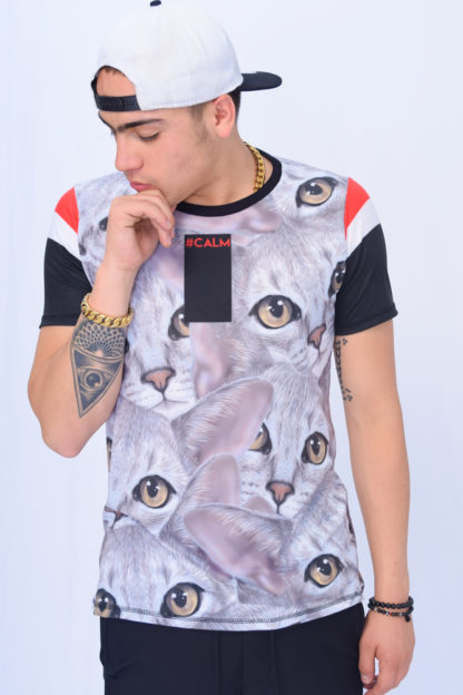 Camiseta gatos